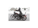 Harley Davidson Sportster [2004-2020] - High Sissy Bar avec noir rembourré-8
