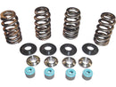 Harley Davidson Dyna [2005-2017] -05 TC Valve Spring STL CLR Kits de printemps de valve conique-3