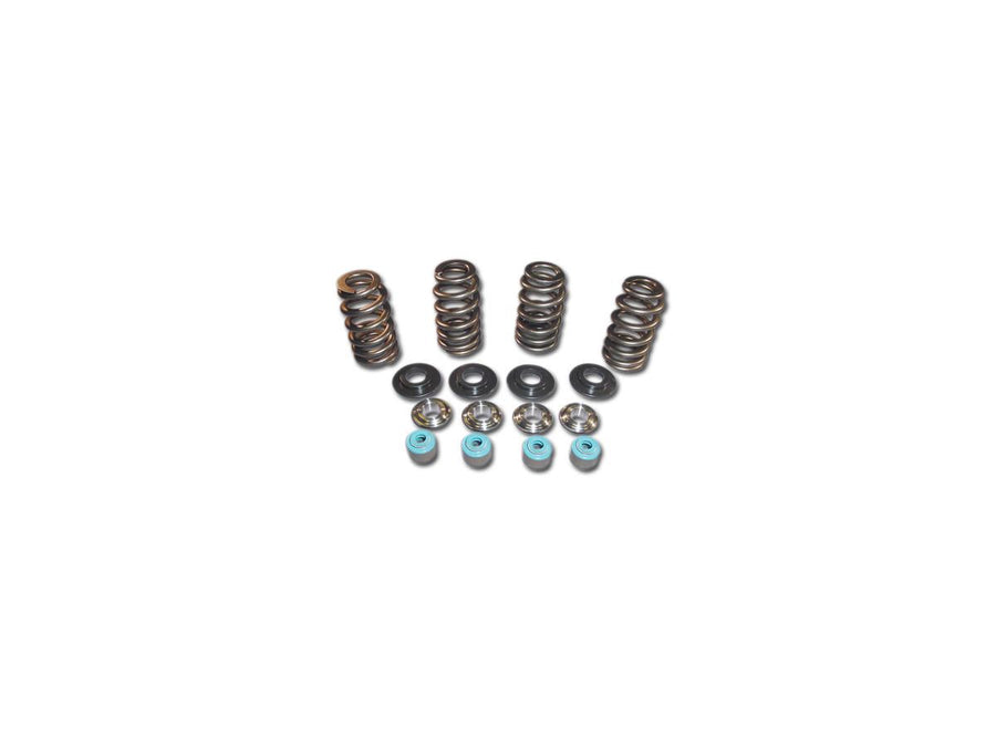 Harley Davidson Dyna [2005-2017] – 05 TC Ventilfeder TIT CLR Konische Ventilfederkits