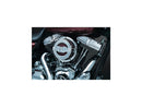 Harley Davidson Sportster [2007-2020] -ir filtre Chrome-4