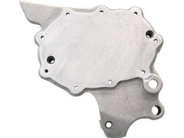 Harley Davidson Sportster [1991-2003] -E-Kick Electric 1991/2003, Raw for Sportstter - 0