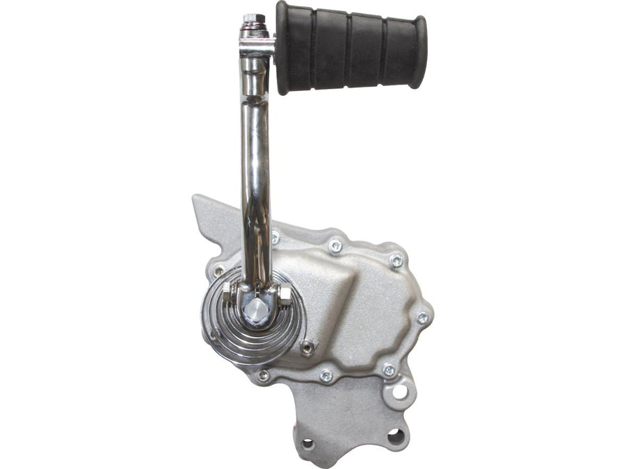 Harley Davidson Sportster [1991-2003] -E-Kick Electric 1991/2003, Raw for Sportstter