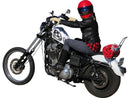 Harley Davidson Sportster [2004-2020] – Hohe Sissy Bar mit Polster, verchromt-3