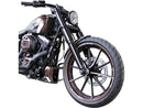 Harley Davidson FXSBSE [2013-2014] -La couverture de cadre pour les modèles Softail-5