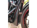 Harley Davidson Tourring [2017-2025] -Custom Chin Prémordit pour la peinture-6