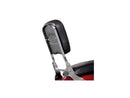 Harley Davidson Scout [2015-2024]-Paladine Backrest Chrome Steel-5