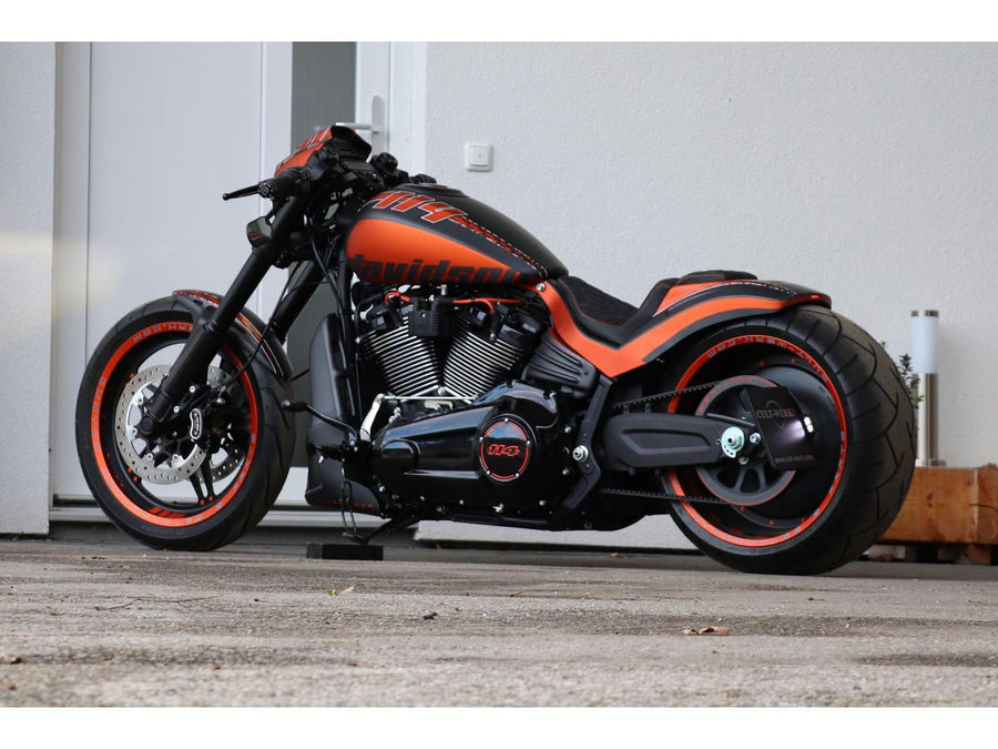 Harley Davidson FXDRS 114 Anwendungsbereich [2019-2020] – Seitenmontage
