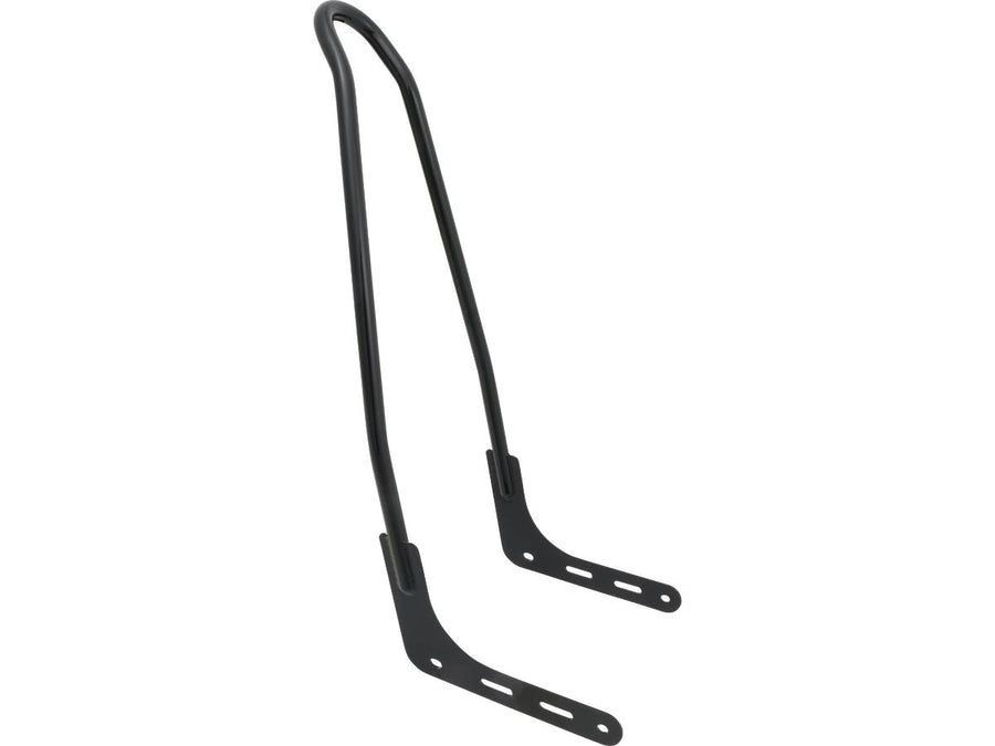Harley Davidson FLSL [2018-2021] -High Rigid Curved Sissybar