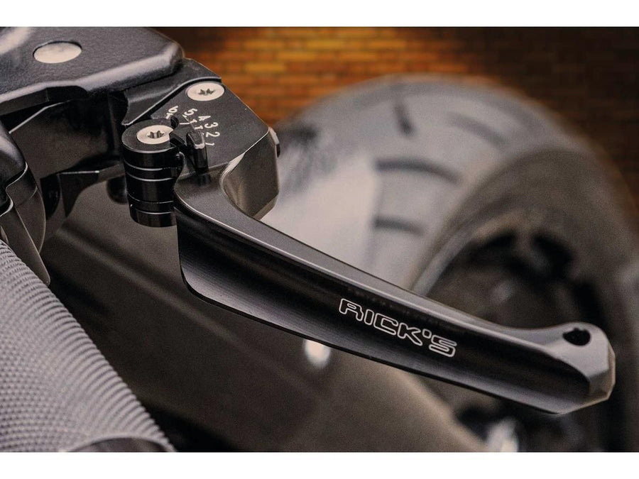 Harley Davidson Sportster [2004-2013]- Classic adjustable braking and