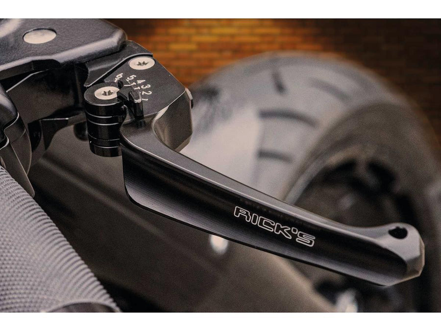 Harley Davidson Sportster [2004-2013]- Classic adjustable braking and