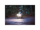 Harley Davidson-Dayron Tagfahr- und PosétSlicht Classic (Whar White)-2