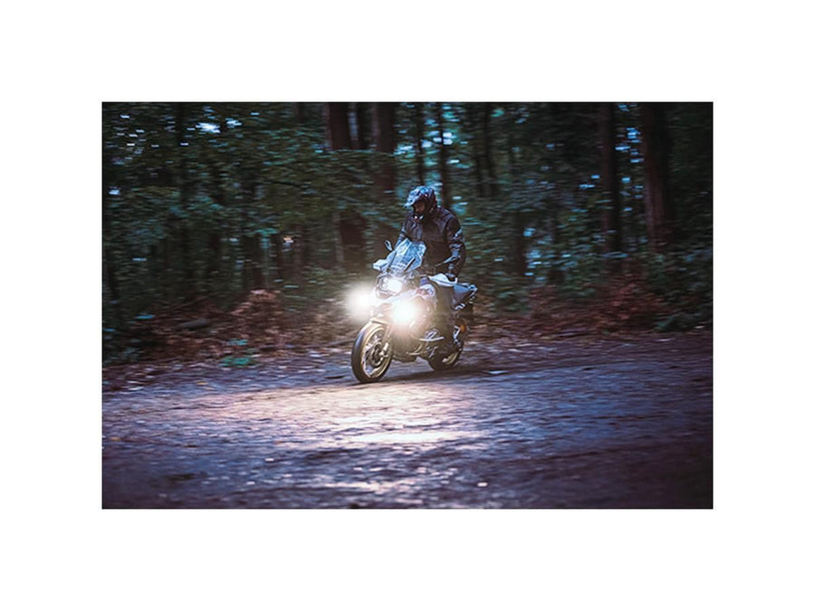 Harley Davidson-Dayron Tagfahr- und PosétSlicht Classic (Whar White)