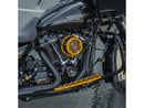 Harley Davidson Softail [2018-2024] – Method™ Clear Series Luftfilter Gold-4