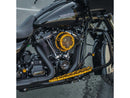 Harley Davidson Softail [2018-2024] – Method™ Clear Series Luftfilter Gold-11