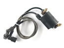 Kawasaki VN 1500 Classic VNT50D [2000] - Ignition coil with plug-1