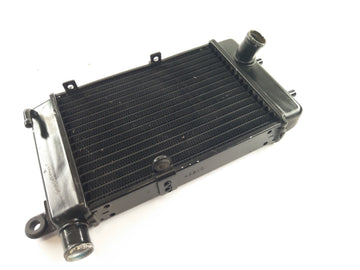 Aprilia RSV 1000 Tuono RP [2005] - Water Cooler Radiator - 0