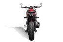 Triumph Trident 800 [2026+] - Heckkennzeichenhalter mit klarem LED-Rücklicht