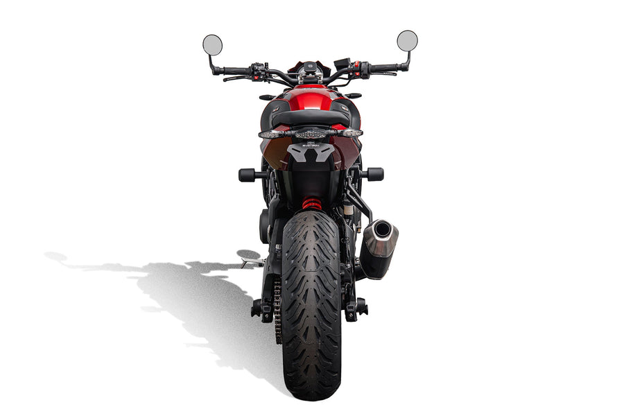 Triumph Trident 800 [2026+] - Heckkennzeichenhalter mit klarem LED-Rücklicht