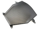 BMW K 1300 S K12S [2009] - Grille de radiateur-1