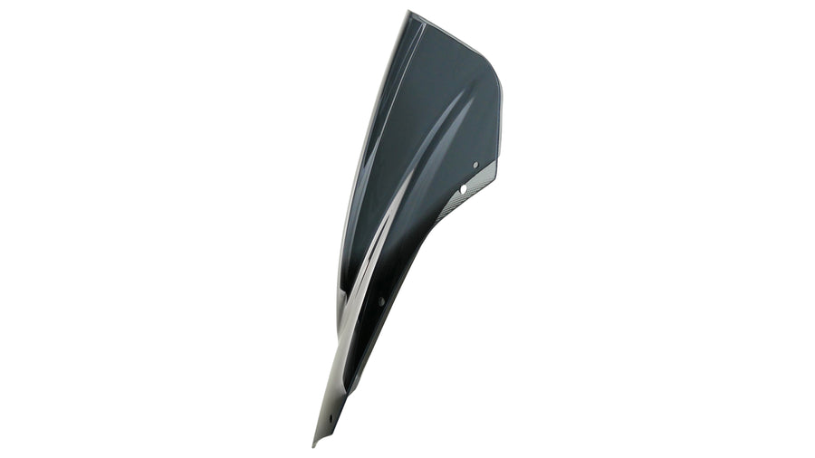 Yamaha FZ 600 S2 Fazer [2007-]-Racing disc "R"