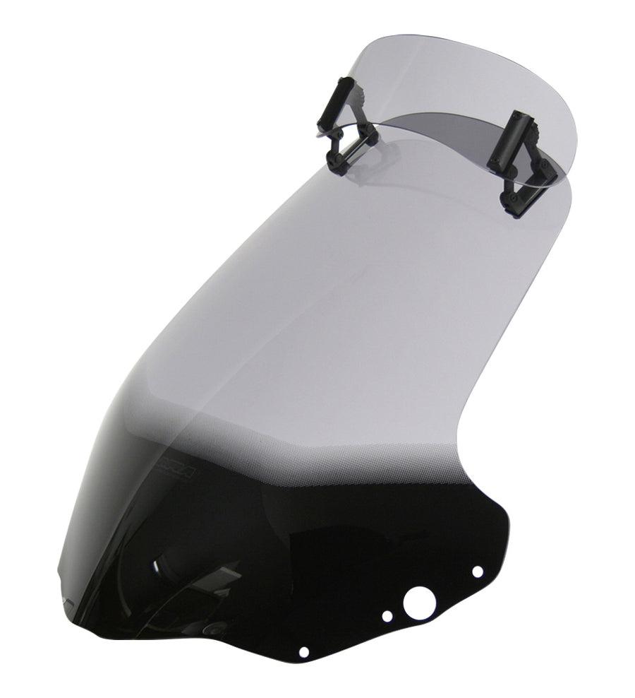 Honda NSS 250 Forza [2004-2006] -variotourings écran "VTM"