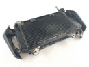 KTM Duke 125 [2011] - Radiator Water Cooler-2