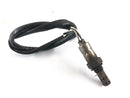 Triumph Tiger 1050 115NG [2016] - Sonde lambda-2
