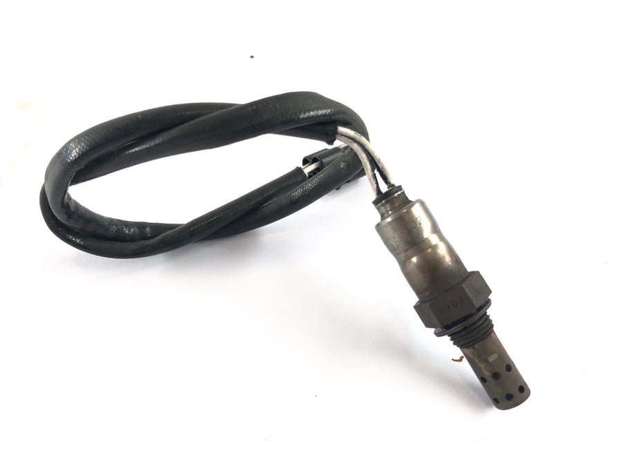 Triumph Tiger 1050 115NG [2016] - Sonde lambda