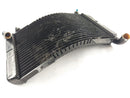 Aprilia RS 250 [1998] - Radiator water cooler defective-3
