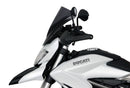 Ducati HYPERSTRADA 821 / 939 [2013-] – Racingscheibe "R"-9