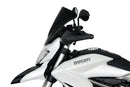 Ducati HYPERSTRADA 821 / 939 [2013-] – Racingscheibe "R"-10