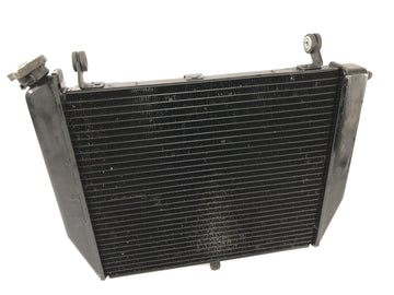 Yamaha YZF R1 RN09 [2002] - Kühler Wasserkühler Kühlsystem Radiator