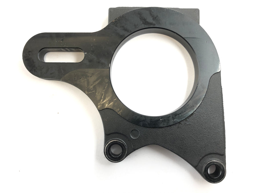 Triumph Daytona 955i T595N [2001] - Plaque d'ancrage de frein