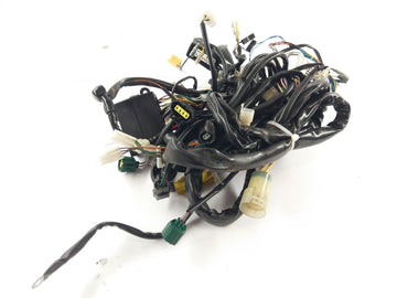 Aprilia RSV 1000 Tuono RP [2005] - Wiring harness