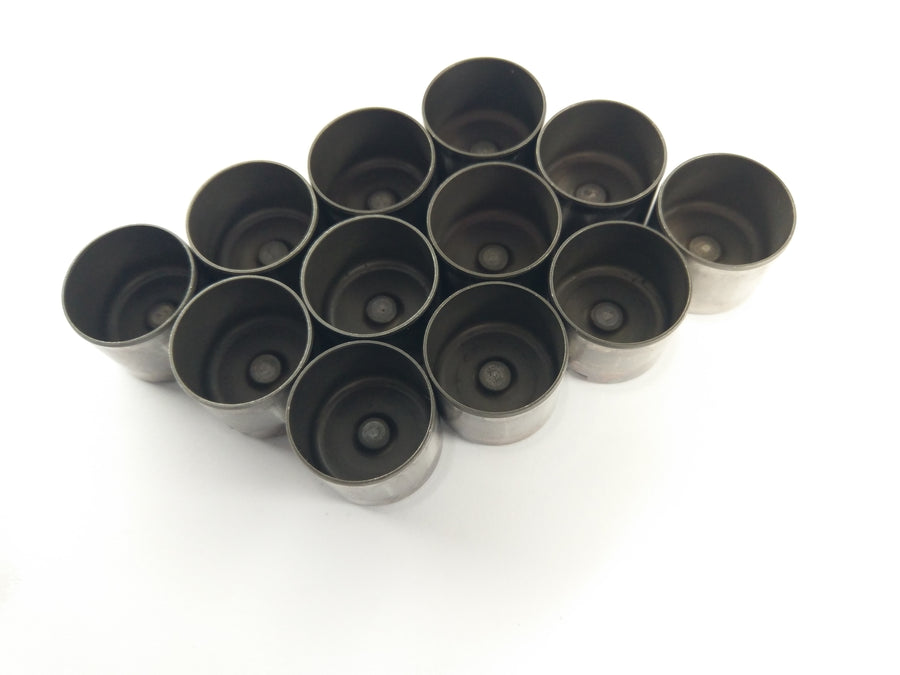 Triumph Thunderbird 900 T309RT [1995] - Plunger Cup Plunger Set