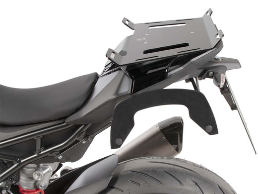 BMW M 1000 RR [2023-2025] - C-Bow Seitenträger
