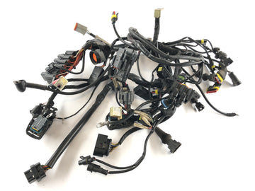 Ducati Multistrada 1000 DS [2003] - Wiring harness main wiring harness
