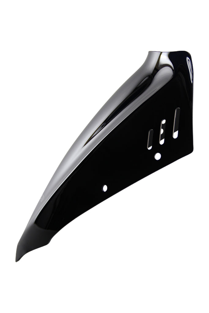 Honda MSX 125 [2013-2015] – Spoilerscheibe "NS"