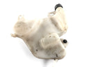 Aprilia RSV 1000 RR Factory [2009] - Coolant tank-2