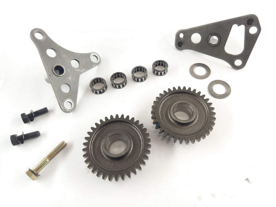 Aprilia RST 1000 Futura [2004] - control chain drive
