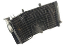 Honda CBR 900 RR SC28 [1993] - Radiateur d'eau-3