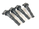 BMW K 1300 R [2010] - Ignition Coil Set-4