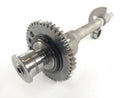 Triumph Daytona 955i T595N [2002] - balance shaft-3