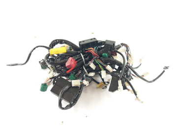 Aprilia RSV 1000 Tuono RP [2005] - Wiring harness - 0