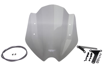 Suzuki SFV650 GLADIUS [2009-2015] – Racingscheibe "NR"