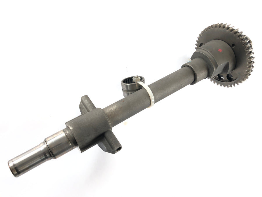 Triumph Daytona 955i T595 [2001] - balance shaft
