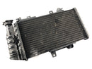 BMW F 800 S [2007] - Radiator Water Cooler-1