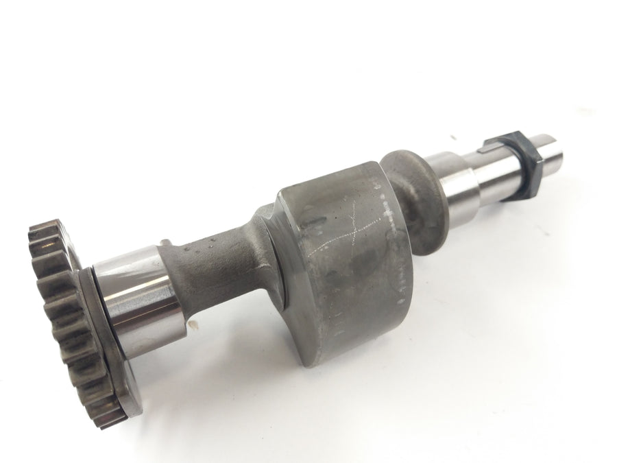 Aprilia RSV 1000 Tuono RP [2005] - balance shaft