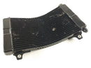 Aprilia RS 250 [1998] - Radiator water cooler defective-1