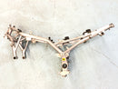 Moto Guzzi Stelvio 1200 8V [2011] - Frame with papers Accident-free-3
